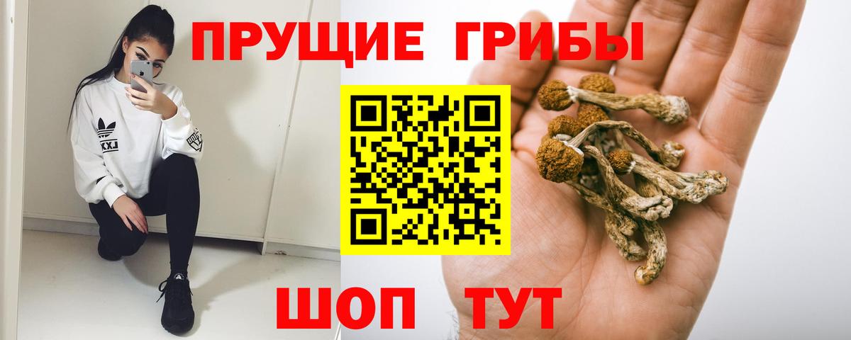 Учалы  Псилоцибиновые грибы прущие грибы  Галлюциногенные грибы Psilocybe  Вход с VPN 